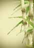 ��������� �������� "�������" #16