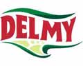��������� �������� Delmy