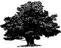 Векторная картинка Дерево №3