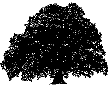 Скачай бесплатно изображение дерева в векторном формате. Идеально подходящее для использования в полиграфии, веб дизайне и рекламе.
