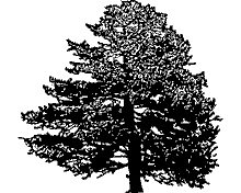 Скачай бесплатно изображение дерева в векторном формате. Идеально подходящее для использования в полиграфии, веб дизайне и рекламе.