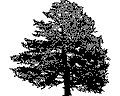 Векторная картинка Дерево №8