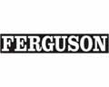 ��������� �������� Ferguson