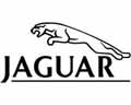 Векторная картинка Jaguar