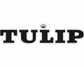 ��������� �������� TULIP