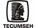��������� �������� Tecumseh