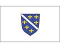 Векторная картинка Флаг Боснии и Герцеговины