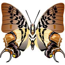Скачай бесплатно профессиональный векторный клипарт - векторная бабочка. Идеален для использования в полиграфии, веб дизайне и рекламе.
