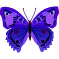 Векторная картинка Векторная бабочка #10