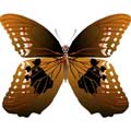 Векторный клипарт Векторная бабочка #20