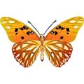 Векторный клипарт Векторная бабочка #35
