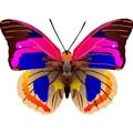 Векторная картинка Векторная бабочка #36