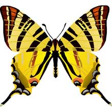 ������ ��������� ���������������� ��������� ������� - ��������� �������. ������� ��� ������������� � ����������, ��� ������� � �������.