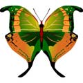 Векторная картинка Векторная бабочка #47