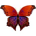 Векторная картинка Векторная бабочка #48