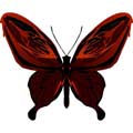 Векторная картинка Векторная бабочка #49