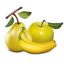 Скачать бесплатно фрукты картинки и фруктовые композиции, яблоко картинки, яблоки, груша, банан, банан, киви, виноград, абрикос, персик, хурма, шиповник. Красивые фрукты в векторе и фруктовые композиции для создания качественных работ, упаковки фруктовых соков, пюре и этикеток. Скачать фрукты картинки в векторе прямо сейчас!