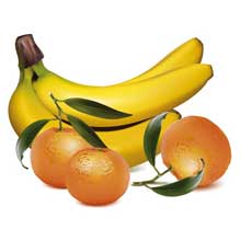 Скачать бесплатно фрукты картинки и фруктовые композиции, яблоко картинки, яблоки, груша, банан, банан, киви, виноград, абрикос, персик, хурма, шиповник. Красивые фрукты в векторе и фруктовые композиции для создания качественных работ, упаковки фруктовых соков, пюре и этикеток. Скачать фрукты картинки в векторе прямо сейчас!