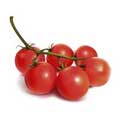 Векторная картинка Овощи - томаты chery #9